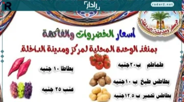 أسعار الخضراوات والفاكهة في منافذ الوادي الجديد الحكومية المخفضة